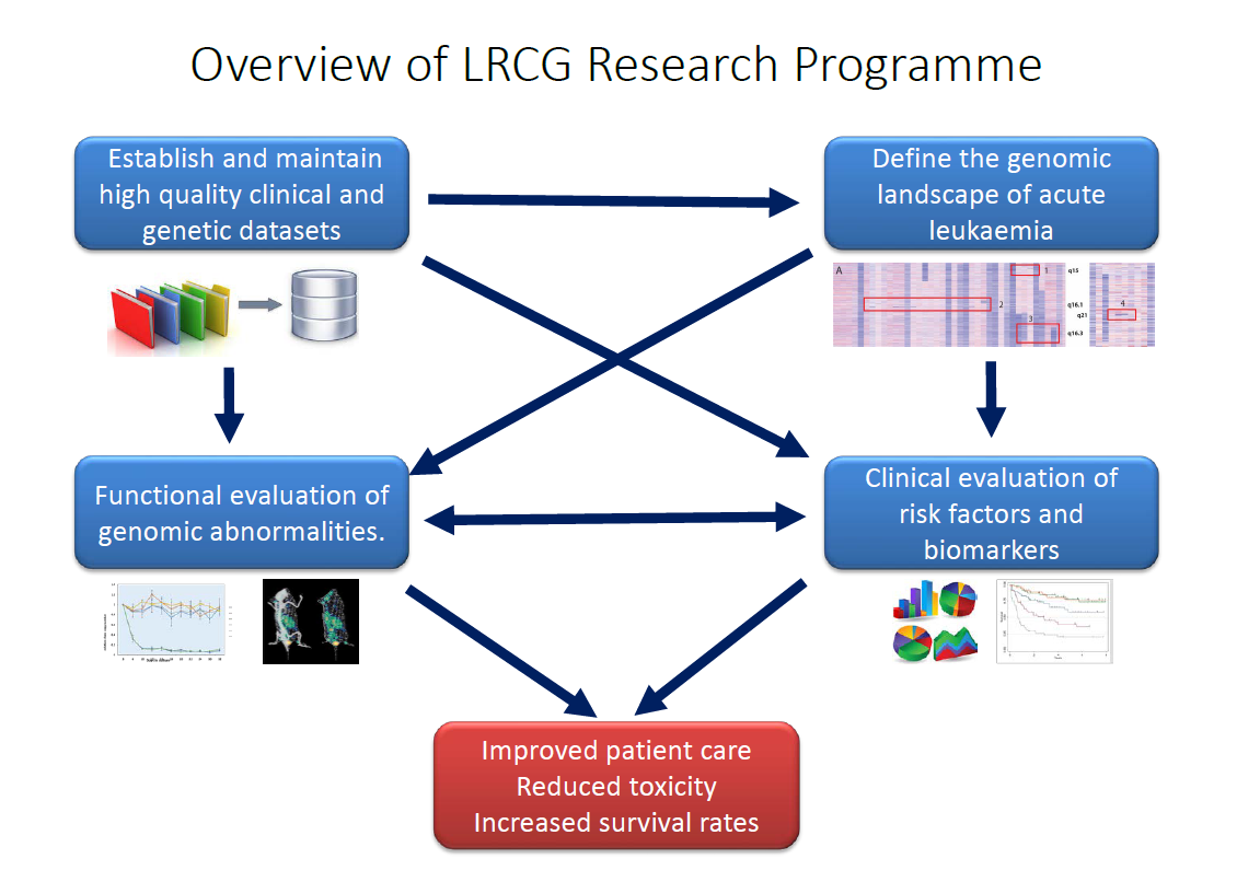 Overview of LRCG Research Programme